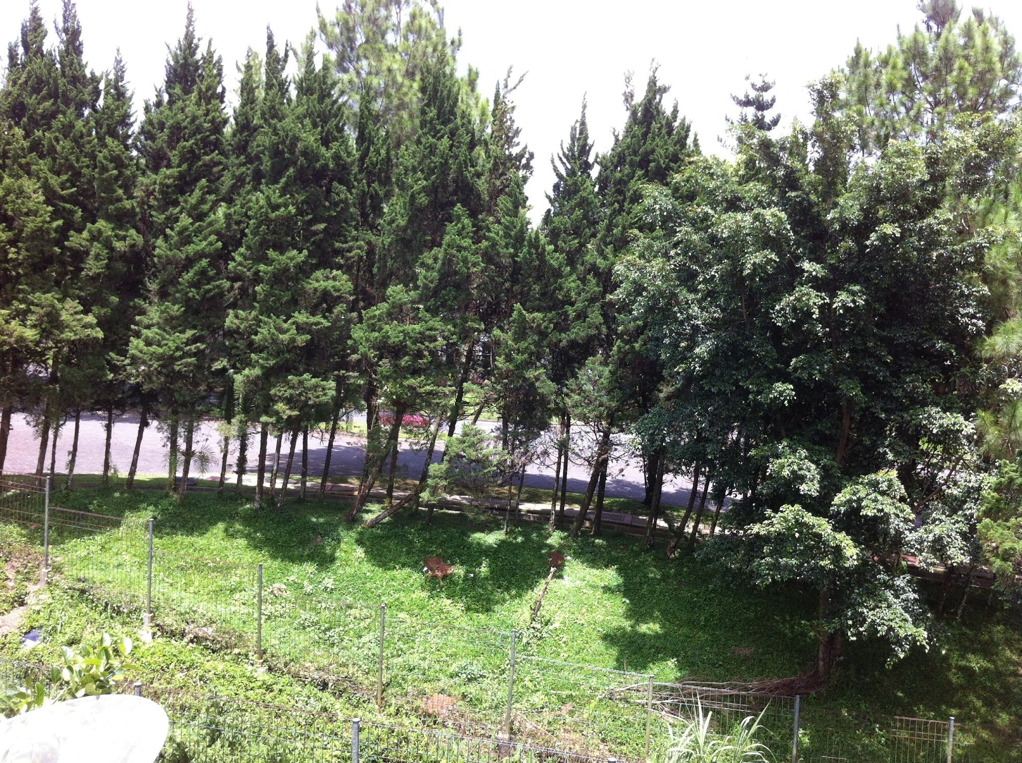 Villa Bukit Danau Lot 12 Cipanas  Eksteriør billede